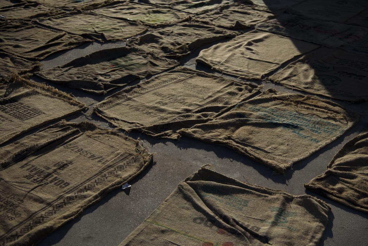 Oyster harvesters hit hard as Texas closes reefs for conservation and
